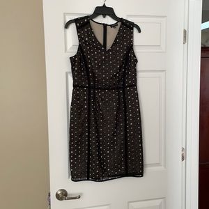 Black and Tan limited dress - never worn
